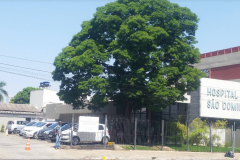 Unidade  Hospital So Domingos